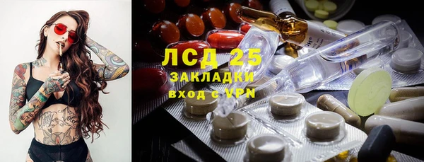 круглые Аркадак