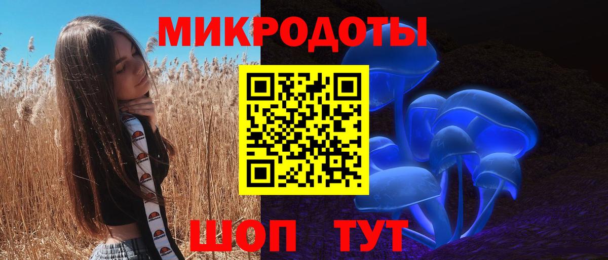 Каспийск  Псилоцибиновые грибы прущие грибы  Вход с VPN  Псилоцибиновые грибы мухоморы 